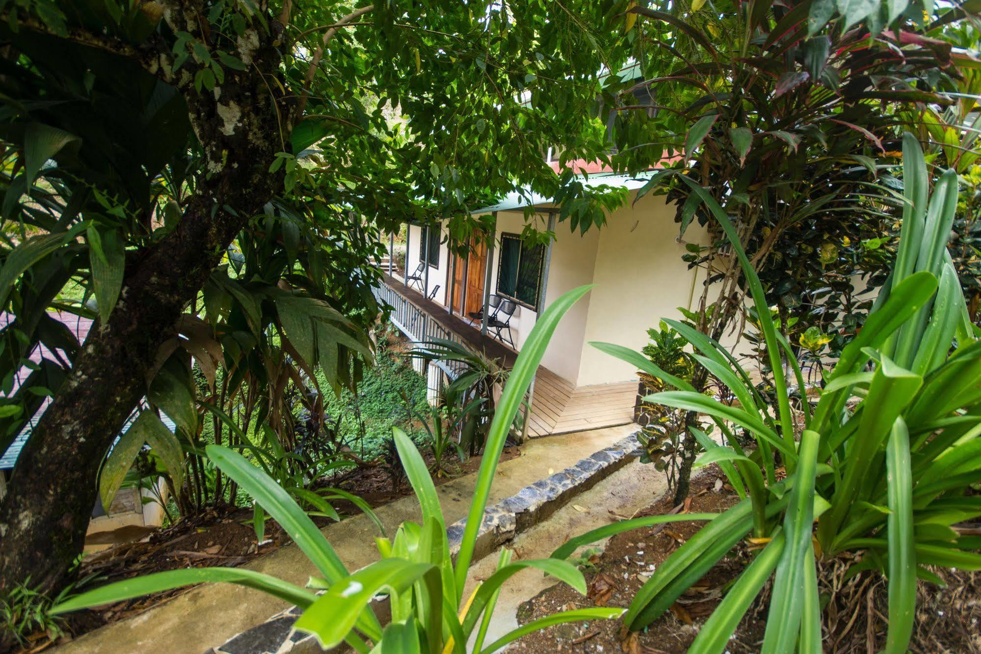 Hotel Rancho Corcovado Drake Bay Exterior photo
